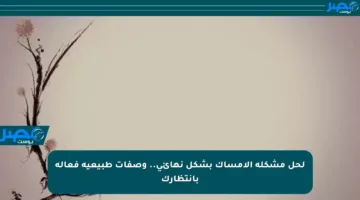 لحل مشكلة الإمساك بشكل نهائي.. وصفات طبيعية فعالة بانتظارك